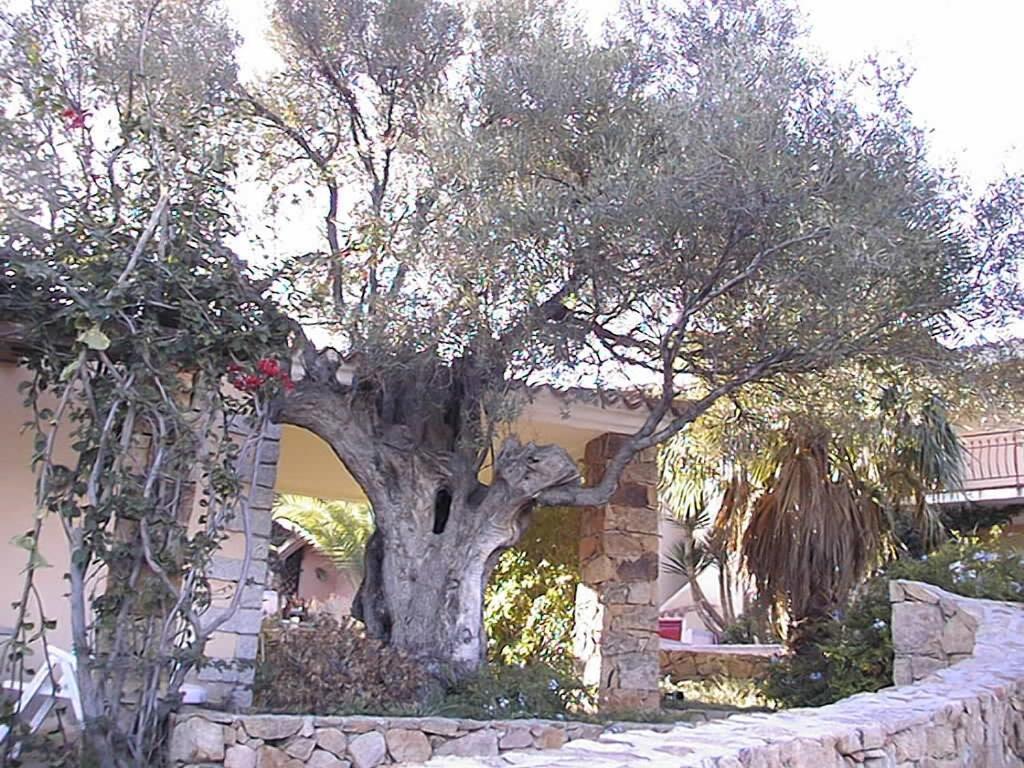 Borgo Le Logge Apart otel Budoni Dış mekan fotoğraf